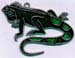 035-8-1477-Iguana%20Ou0003